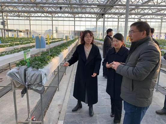 IMG_3048(20211229-170738)