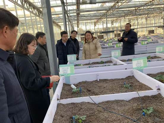 IMG_3049(20211229-171502)