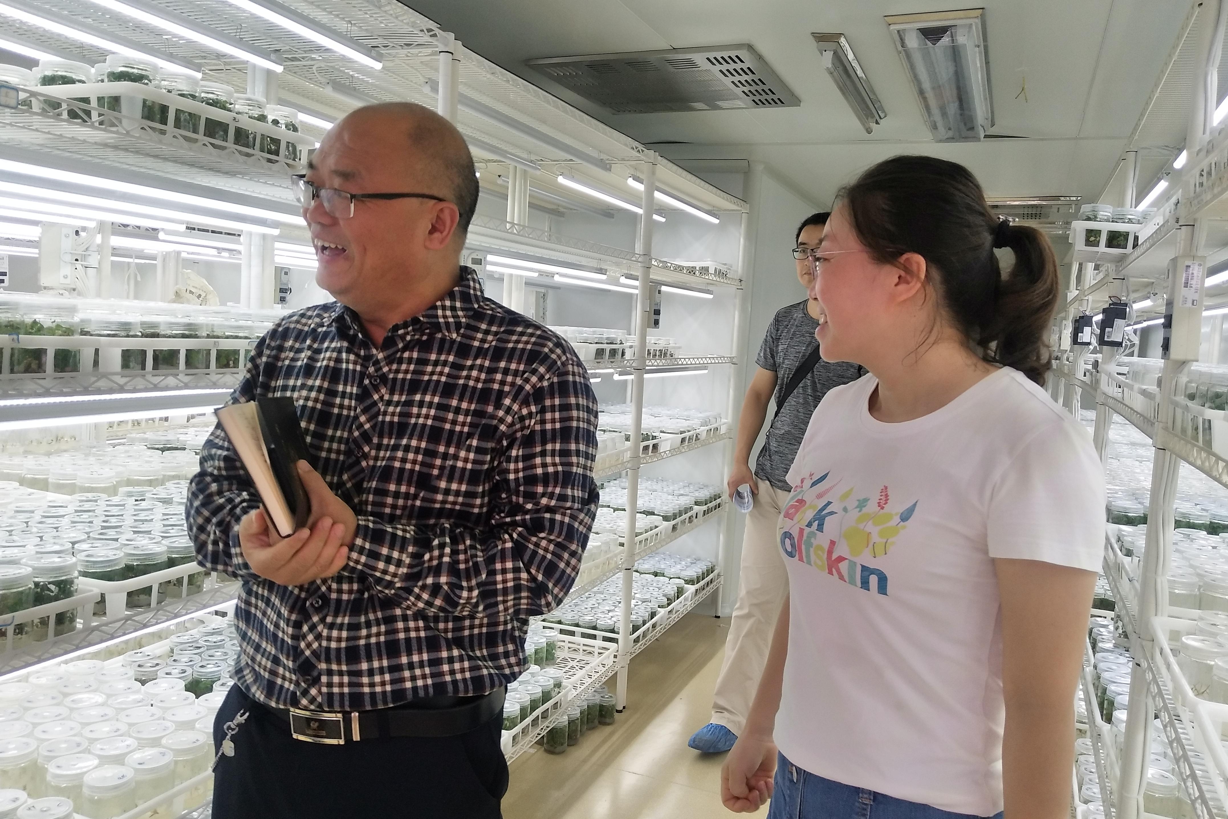 参观植物组织培养实训室
