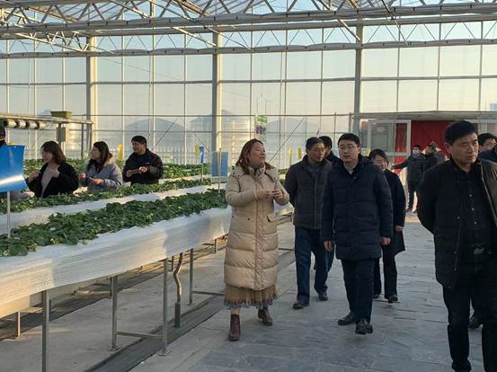 IMG_3047(20211229-170731)